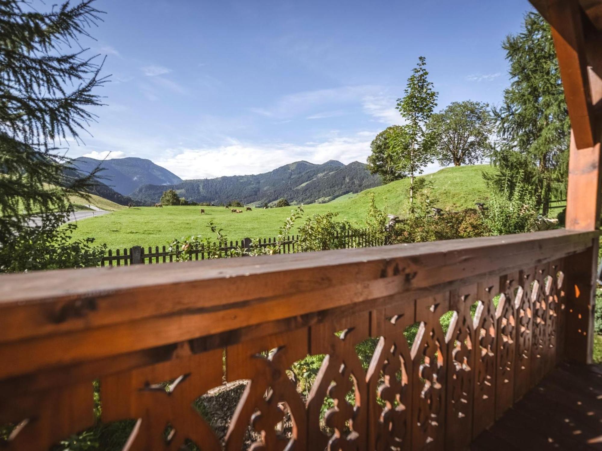 Naturpark Chalet Schladming-Dachstein Grosssolk Luaran gambar